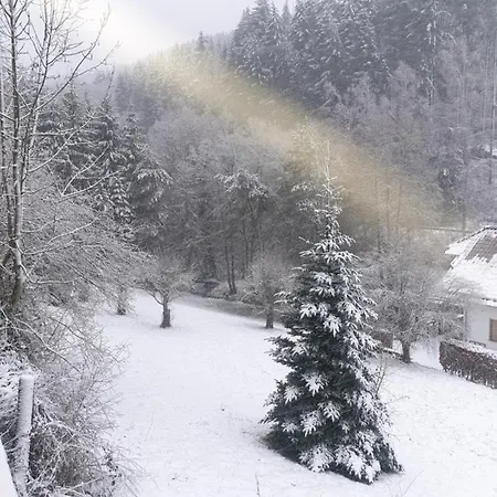 Familiehuis Dolve Daire