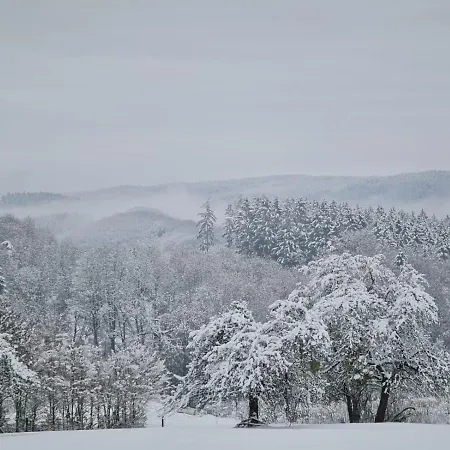 Daire Familiehuis Dolve Mürlenbach