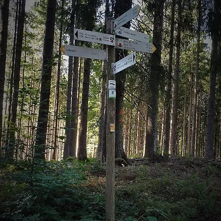 Daire Familiehuis Dolve Mürlenbach