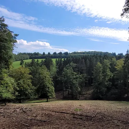 Familiehuis Dolve * Mürlenbach