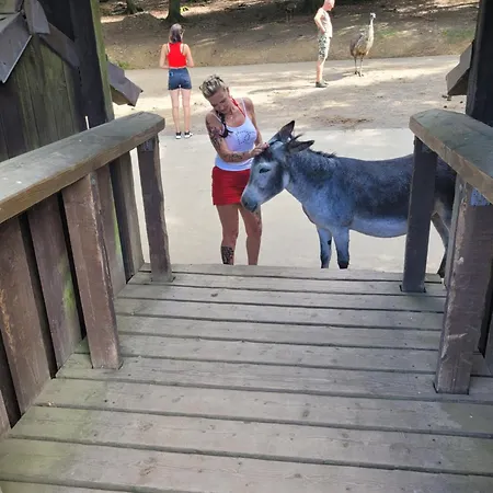 Appartement Familiehuis Dolve