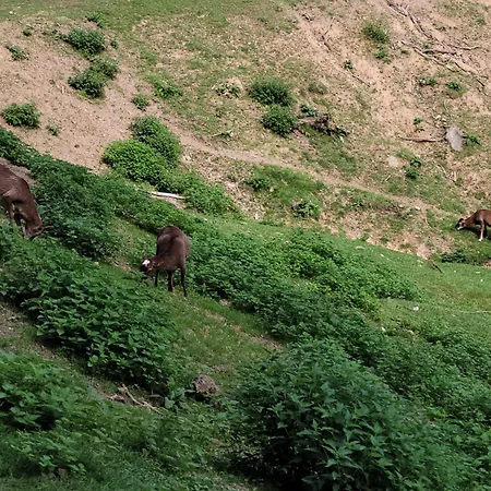 Appartement Familiehuis Dolve