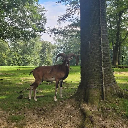 Appartement Familiehuis Dolve