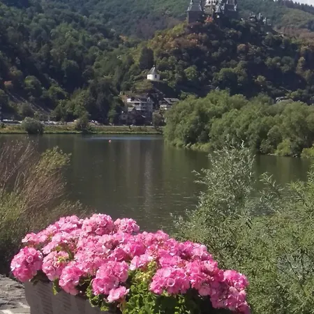 Familiehuis Dolve Appartement