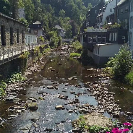 Familiehuis Dolve Daire