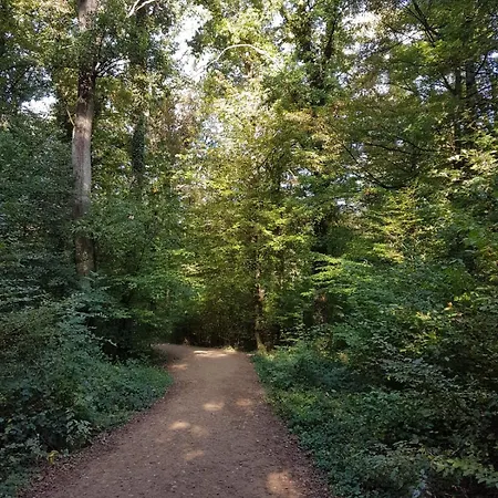 Familiehuis Dolve Daire