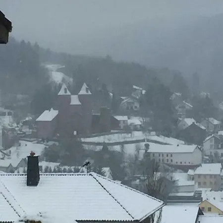 Daire Familiehuis Dolve Mürlenbach