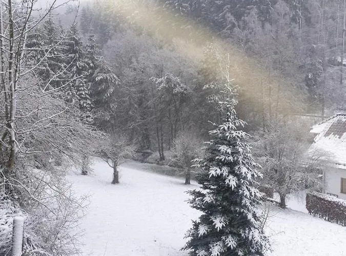 Familiehuis Dolve 아파트