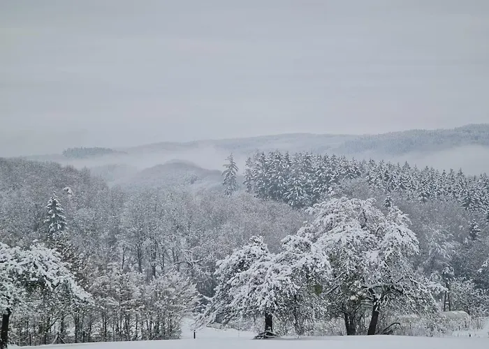 아파트 Familiehuis Dolve Mürlenbach