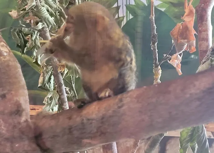 Familiehuis Dolve 아파트 *