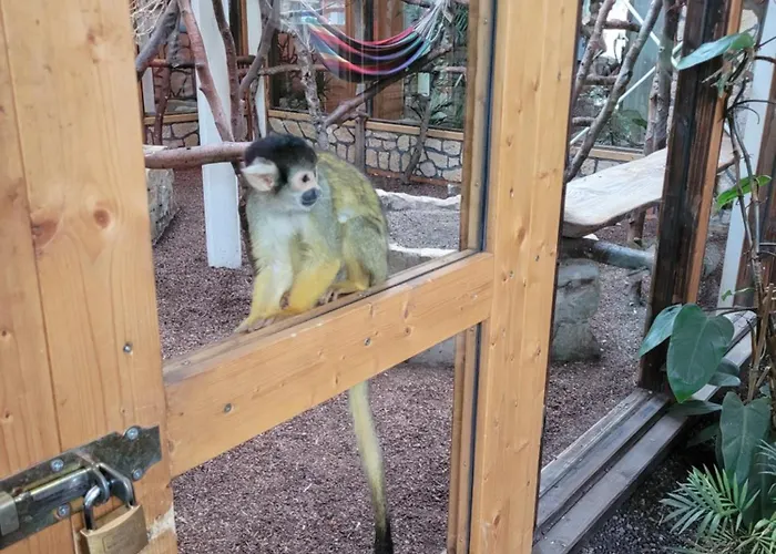 아파트 Familiehuis Dolve Mürlenbach