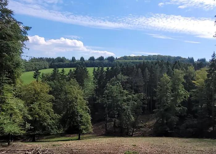 Familiehuis Dolve * Mürlenbach