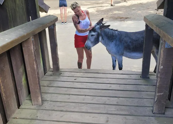 아파트 Familiehuis Dolve