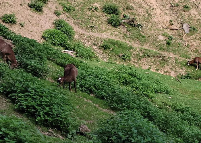 아파트 Familiehuis Dolve