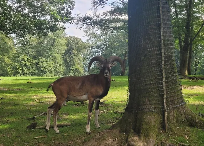 아파트 Familiehuis Dolve