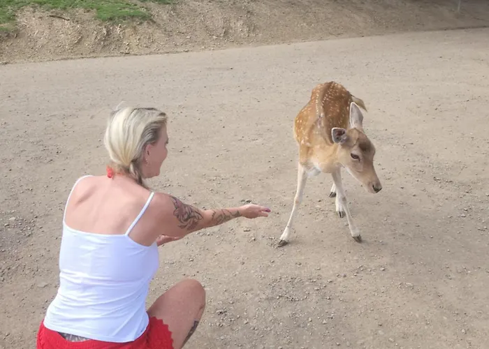 아파트 Familiehuis Dolve Mürlenbach