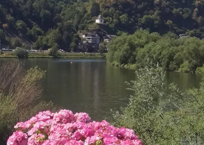 Familiehuis Dolve 아파트